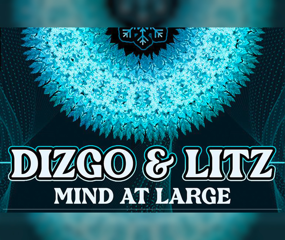 Dizgo & Litz